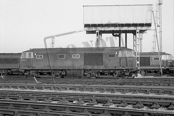 TTP7015 BRISTOL