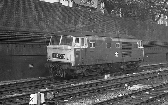 TTP7026 OLD OAK COMMON (2)