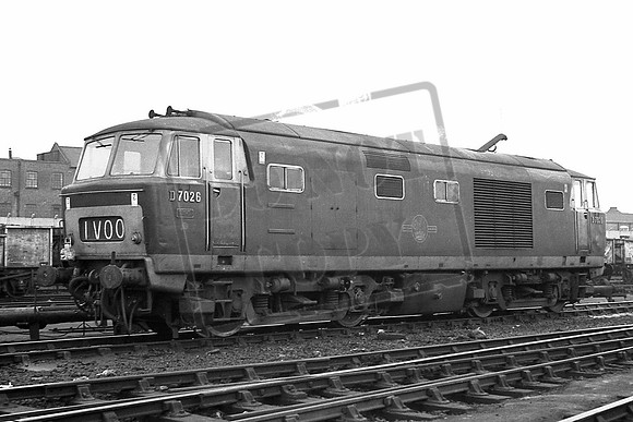 TTP7026B OLD OAK COMMON