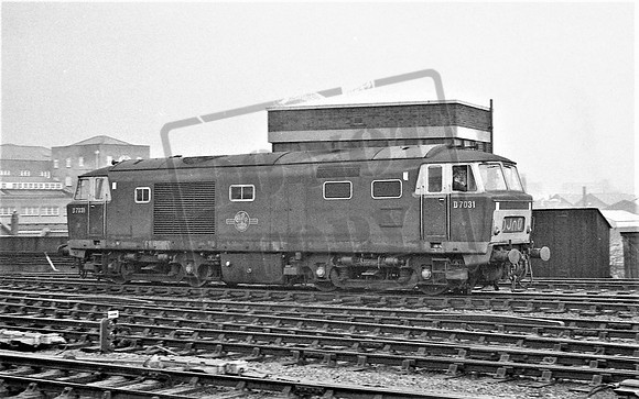 TTP7031 BRISTOL