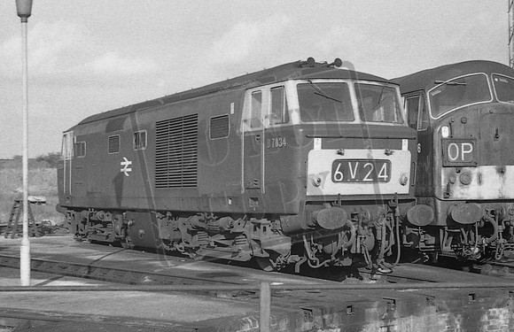 TTP7034