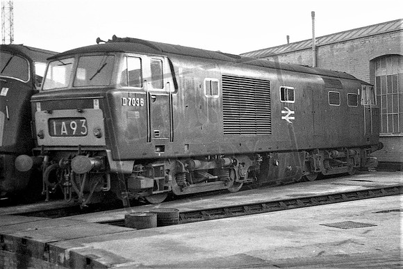 TTP7036 OLD OAK COMMON 1969