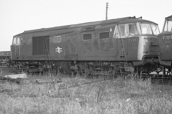 TTP7043 WESTBURY 1969