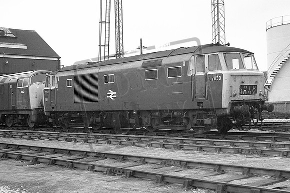 TTP7050 OLD OAK 1971