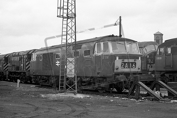 TTP7056 OXFORD