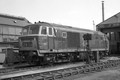 CLASS 35 HYMEK MONO