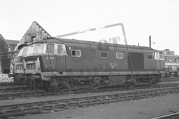 TTP7064