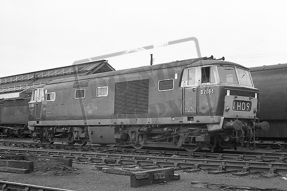 TTP7064B OLD OAK COMMON