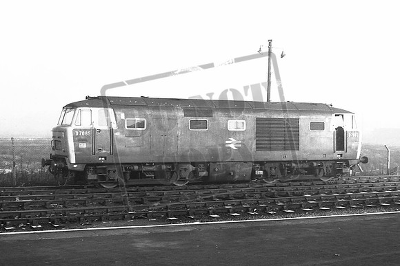 TTP7065