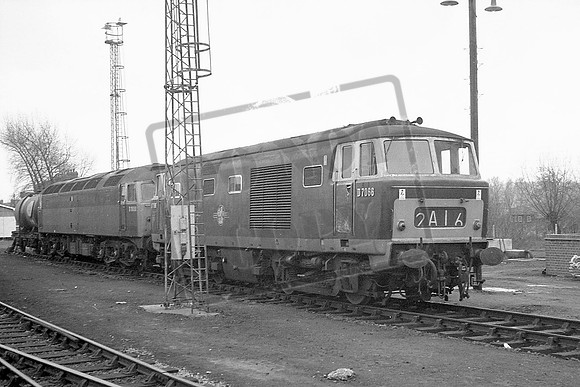 TTP7066 1688 OXFORD