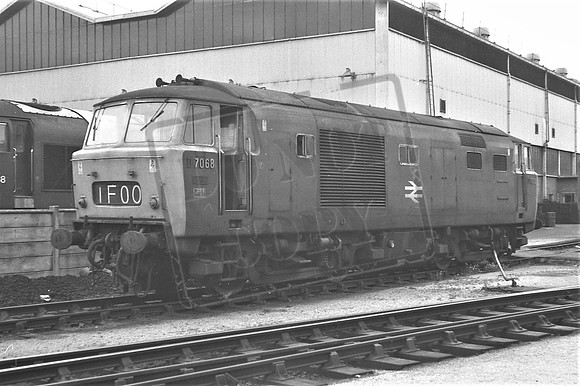 TTP7068