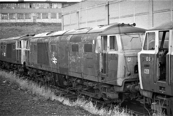 TTP7069 OLD OAK COMMON