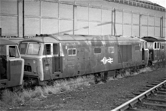 TTP7081 OLD OAK COMMON