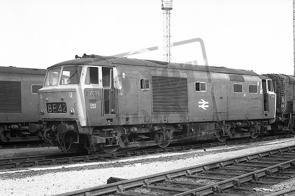 TTP7099
