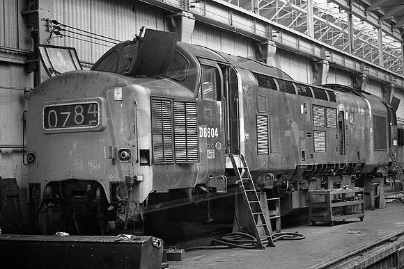 TTP6604 DONCASTER