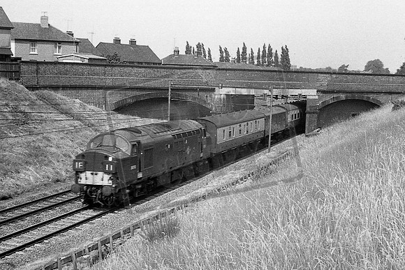 TTP6713 NR CHELMSFORD