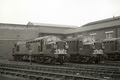 CLASS 37 MONO