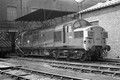 CLASS 37 MONO