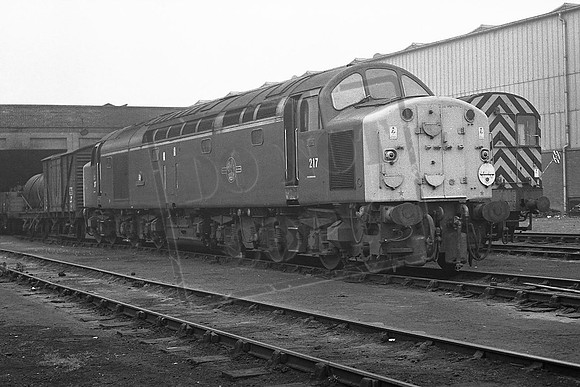 TTP217 SPRINGS BRANCH