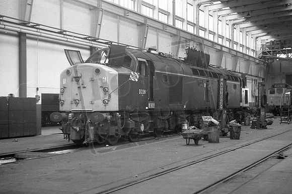 TTP226 REDDISH 1969