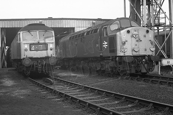 TTP243 BESCOT