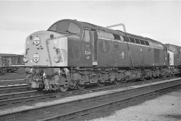 TTP244
