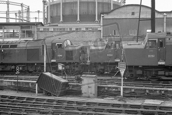 TTP249 244 251 KINGS CROSS