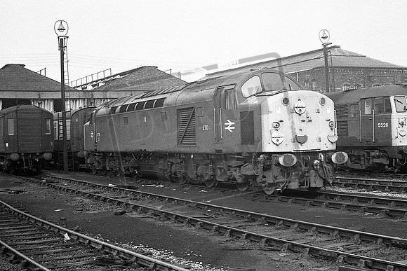 TTP270 DONCASTER