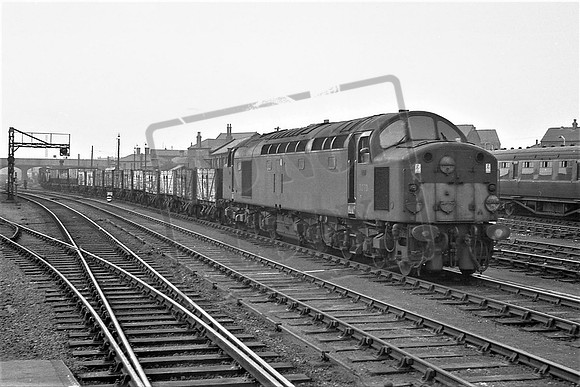 TTP273 DONCASTER