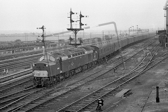 TTP283 NORMANTON