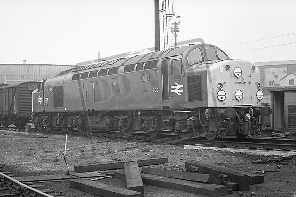 TTP308 SPRINGS BRANCH