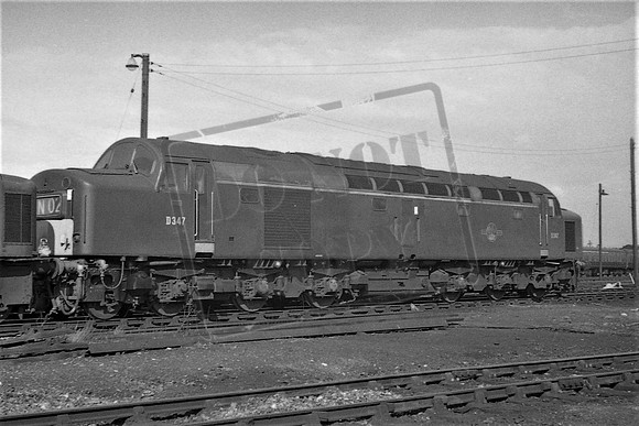 TTP347 YORK