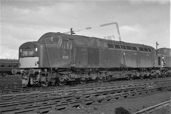 TTP386 YORK