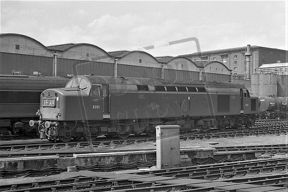 TTP391 KINGS CROSS