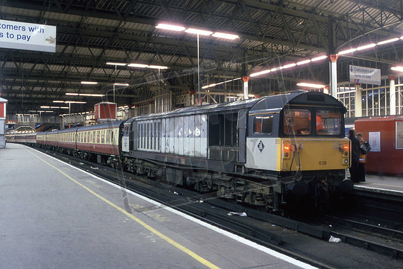 58038 (Cat No RAP5808) Victoria Southern Serpent