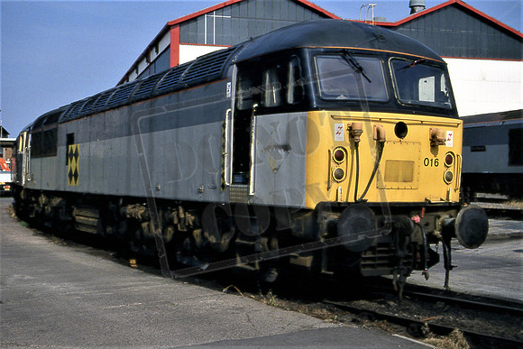 56016 (Cat No TTR2073) Cardiff Canton JUL 1994 Darren Ford