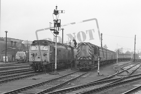 TTP50017B 08955
