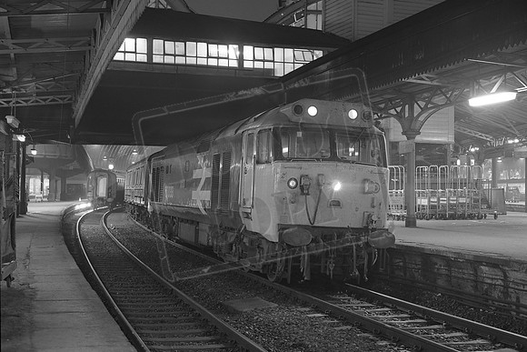 TTP50033D