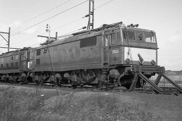TTPE26015