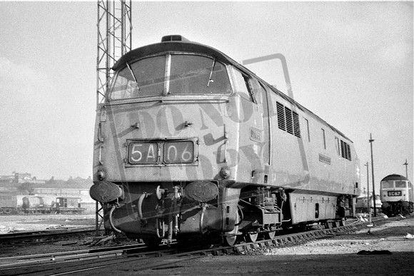 1059 TTP1059B  WESTERN EMPIRE OLD OAK COMMON