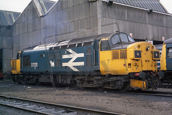37011 (Cat No MSP37011) Eastfield depot 21-09-1986 Mike Spencer 020