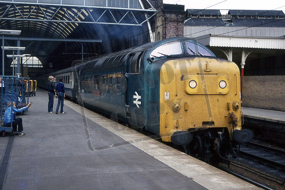 55016 (Cat No KM55016) GORDON HIGHLANDER Kings Cross