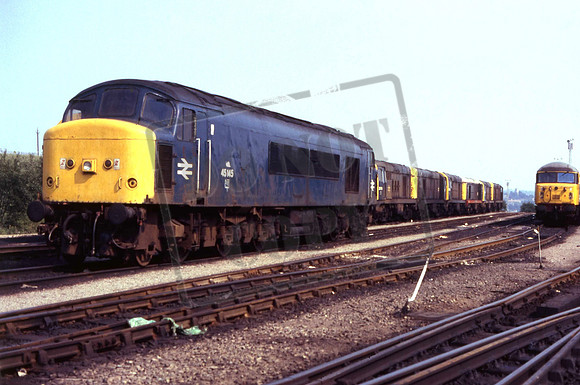 45145 (cat No JSM45145) Tinsley 1987