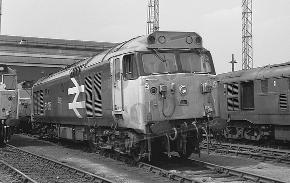 TTP50015